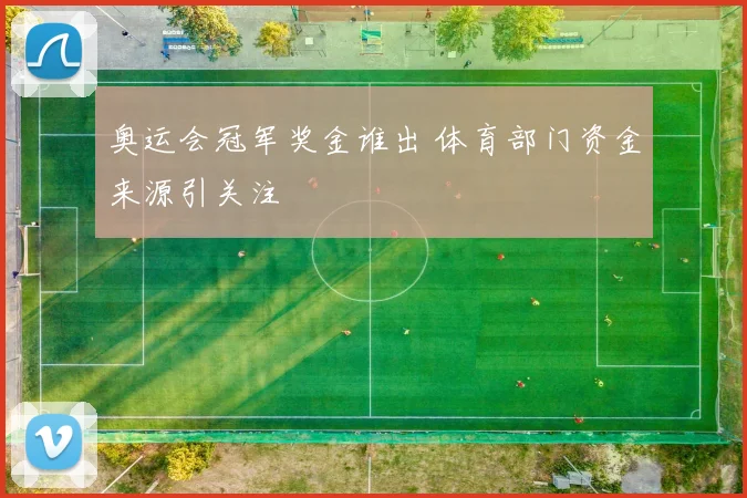 奥运会冠军奖金谁出 体育部门资金来源引关注