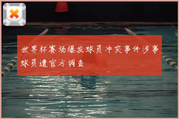 世界杯赛场爆发球员冲突事件涉事球员遭官方调查
